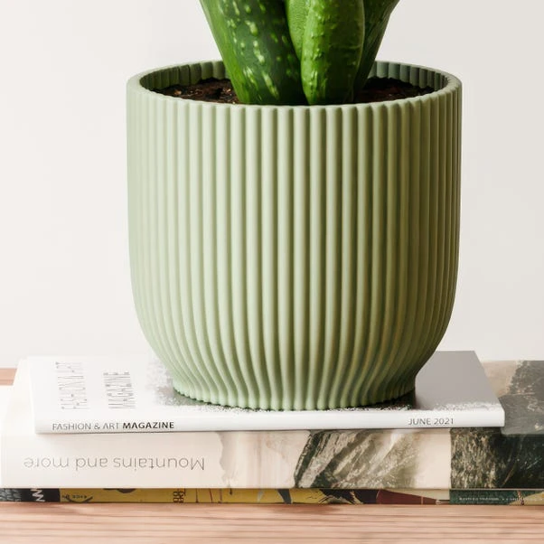 Aloe Vera House Plant In Elho Vibes Pot 11 Aloe Vera House Plant In Elho Vibes Pot - Image 11