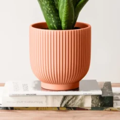 Aloe Vera House Plant In Ribbed Ceramic Pot -EGLO Shop 30963675 alt02