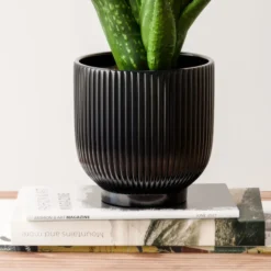 Aloe Vera House Plant In Ribbed Ceramic Pot -EGLO Shop 30963678 alt02