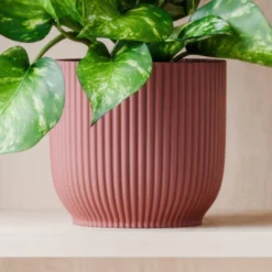 Marble Queen Pothos House Plant In Elho Pot -EGLO Shop 30963706 alt02