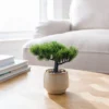 Artificial Bonsai Tree In Ceramic Plant Pot