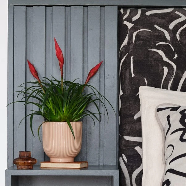 Ribbed Ceramic Plant Pot 7 Ribbed Ceramic Plant Pot - Image 7