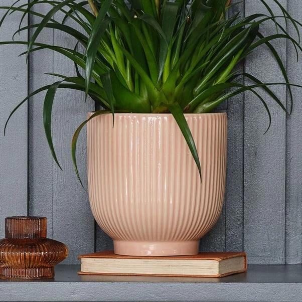Ribbed Ceramic Plant Pot 8 Ribbed Ceramic Plant Pot - Image 8
