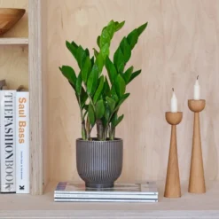 Ribbed Ceramic Plant Pot 12 Ribbed Ceramic Plant Pot -EGLO Shop 30971668