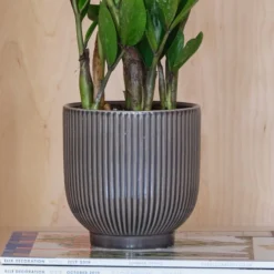 Ribbed Ceramic Plant Pot 13 Ribbed Ceramic Plant Pot -EGLO Shop 30971668 alt01