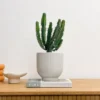 Ribbed Ceramic Plant Pot