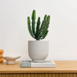 Ribbed Ceramic Plant Pot