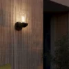 EGLO Donatori Indoor Outdoor Wall Light