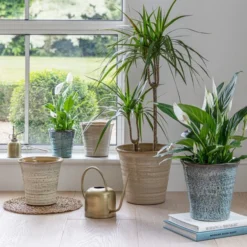 Vallo Terracotta Tapered Plant Pot -EGLO Shop 30976785 alt09