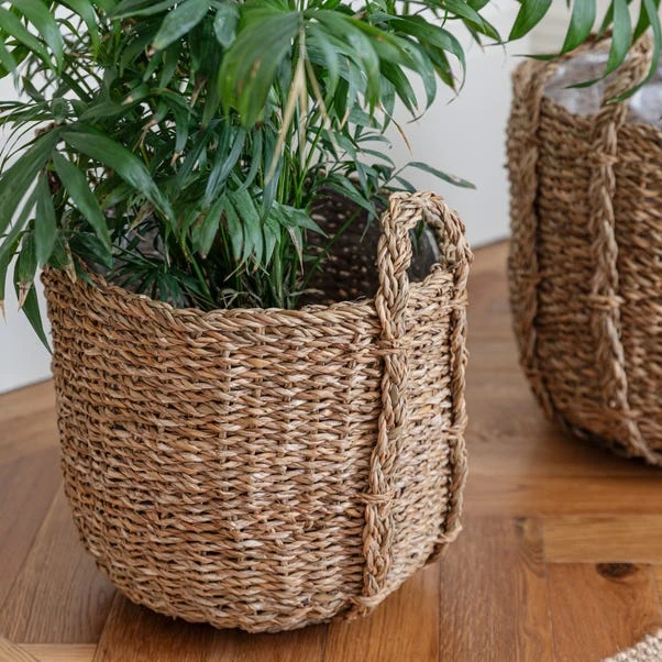 Set Of 3 Tenno Seagrass & Reed Plant Pots 3 Set Of 3 Tenno Seagrass & Reed Plant Pots - Image 3
