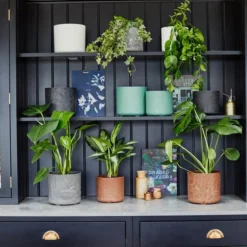 Set Of 2 Celine Recycled Plant Pots -EGLO Shop 30976796 alt09