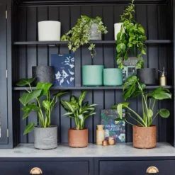 Set Of 2 Celine Recycled Plant Pots -EGLO Shop 30976808 alt09